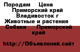 Породам  › Цена ­ 5 500 - Приморский край, Владивосток г. Животные и растения » Собаки   . Приморский край